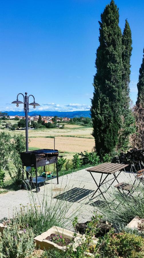 The Olive Grove In Tuscany Toiano المظهر الخارجي الصورة