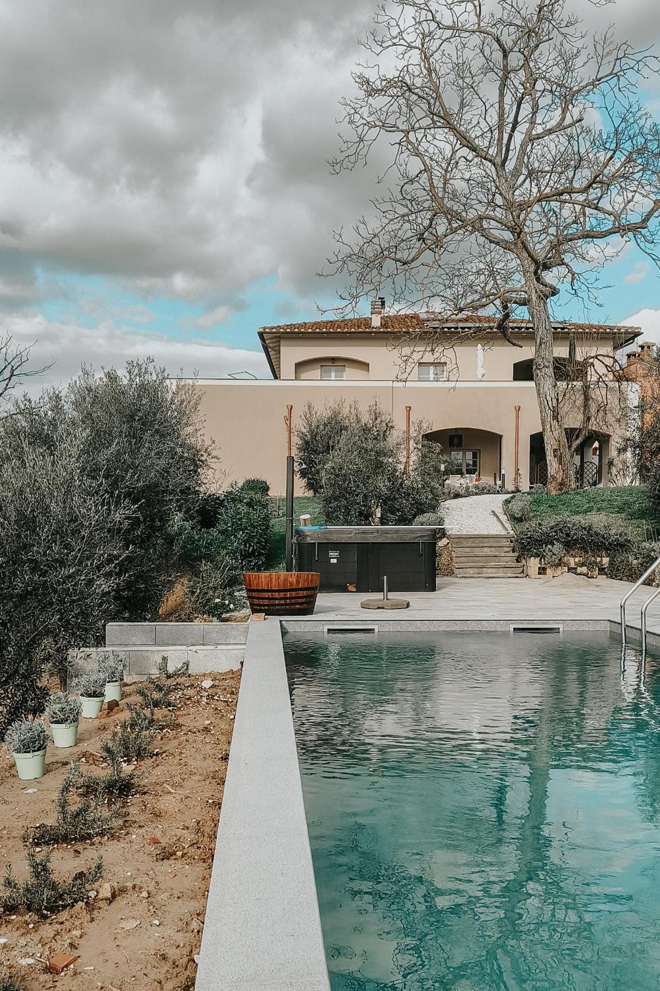 The Olive Grove In Tuscany Toiano المظهر الخارجي الصورة